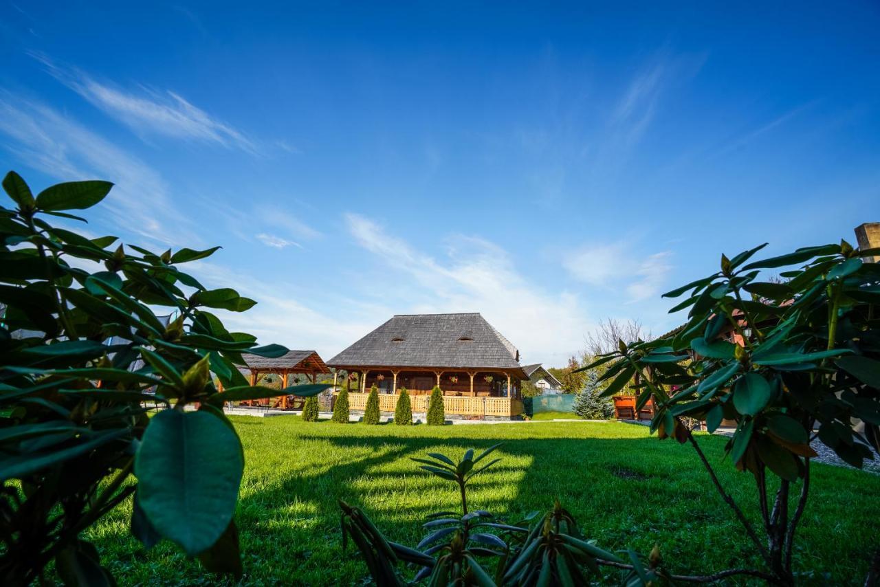 Casa Eli Hotel Felsővisó Kültér fotó